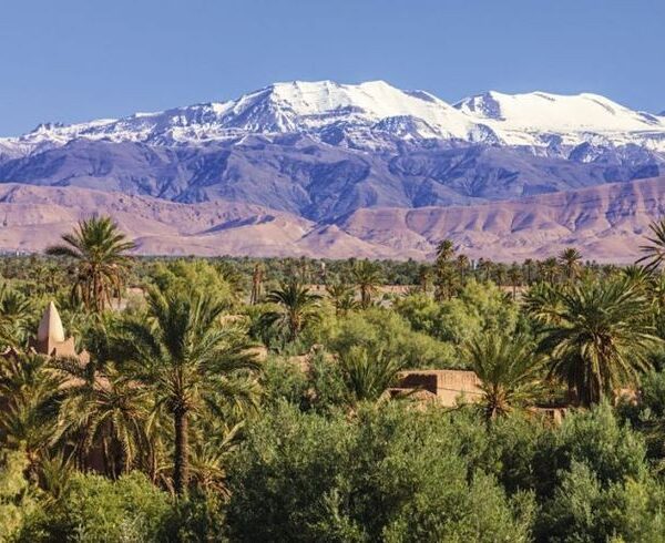 8 days tour from marrakech