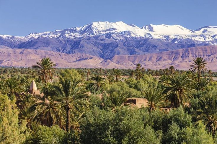 8 days tour from marrakech
