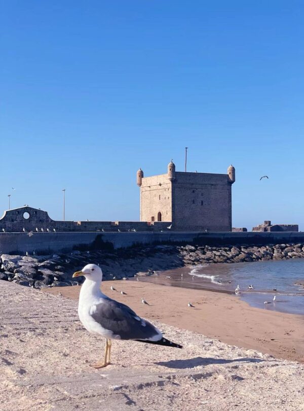 Mmexport1707410900511