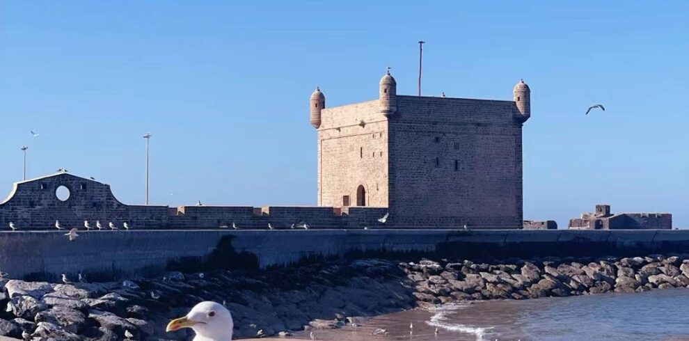 Mmexport1707410900511