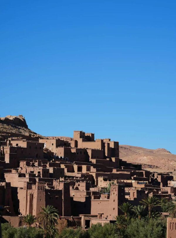 Mmexport1707849797997