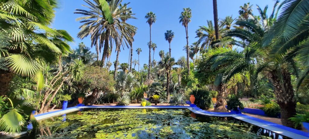 5 Day Tour Casablanca to Marrakech .morocco travel