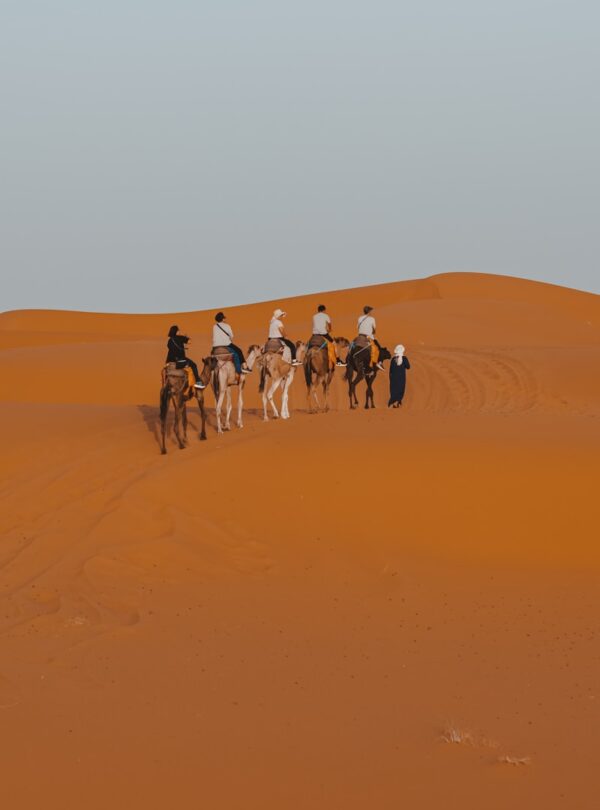 10 Days Morocco Tour from Tangier ,morocco tarvel