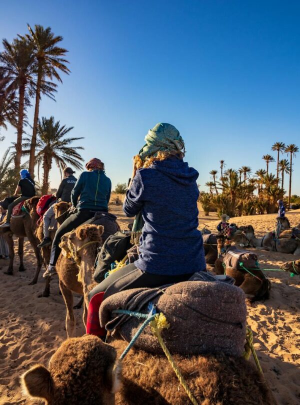 Group of people riding camels through a desert oasis with palm trees under a blue sky, ideal for travel and adventure themes. 2 Days Tour from Marrakech To Zagora. morocco travel