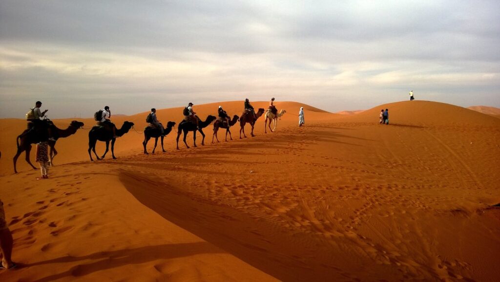 A group traveling on camels over reddish sands under a cloudy sky in a vast desert landscape.morocco travel 12 days tour from Casablanca